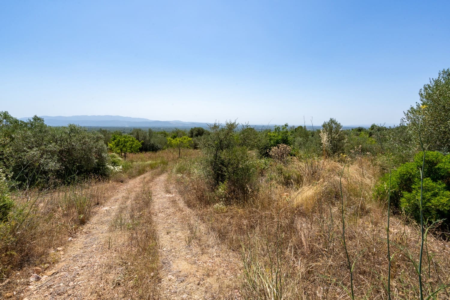 Finca/Herregård til salgs i La Senia - € 27 500 (Ref: 9096254)