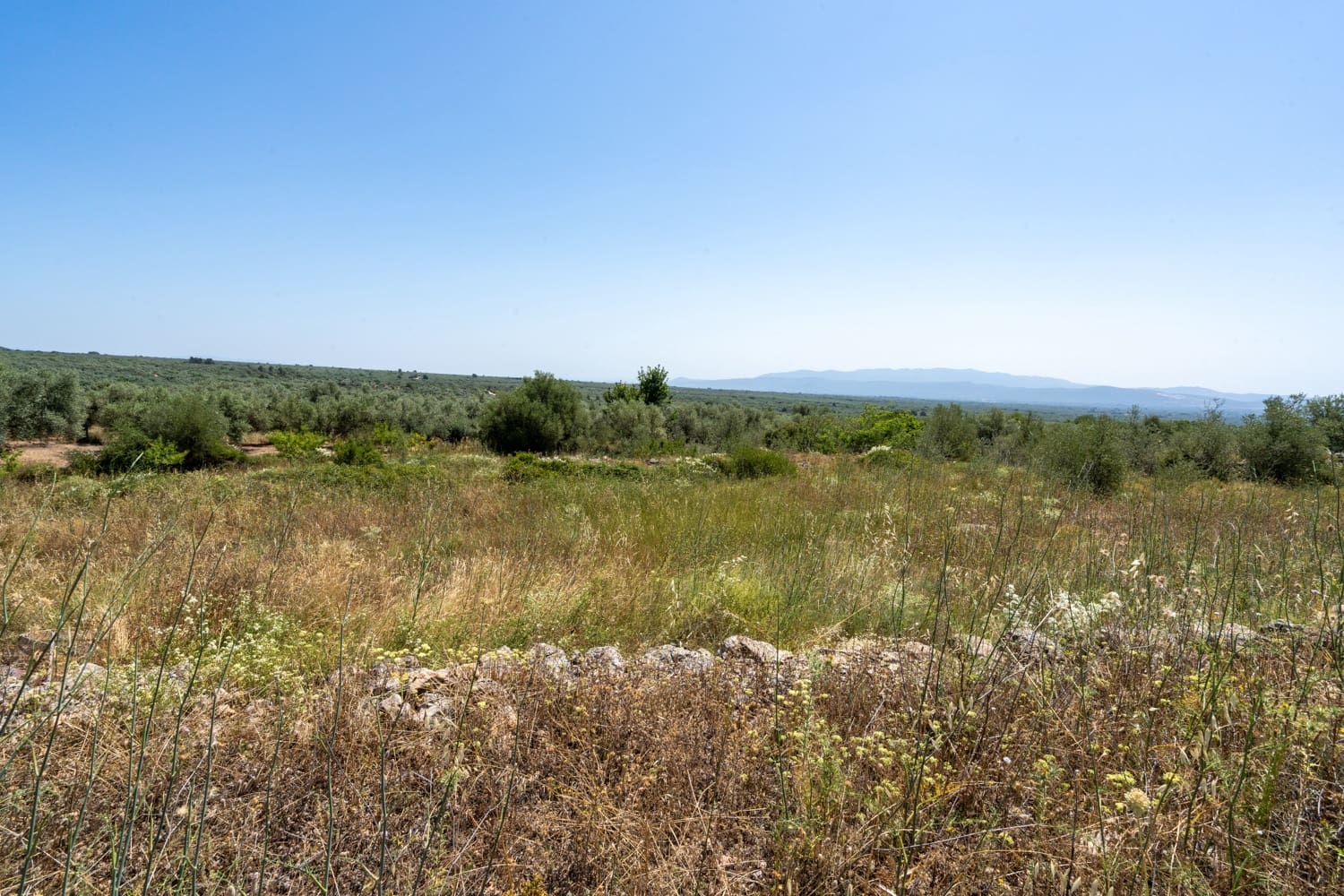 Finca/Herregård til salgs i La Senia - € 27 500 (Ref: 9096254)