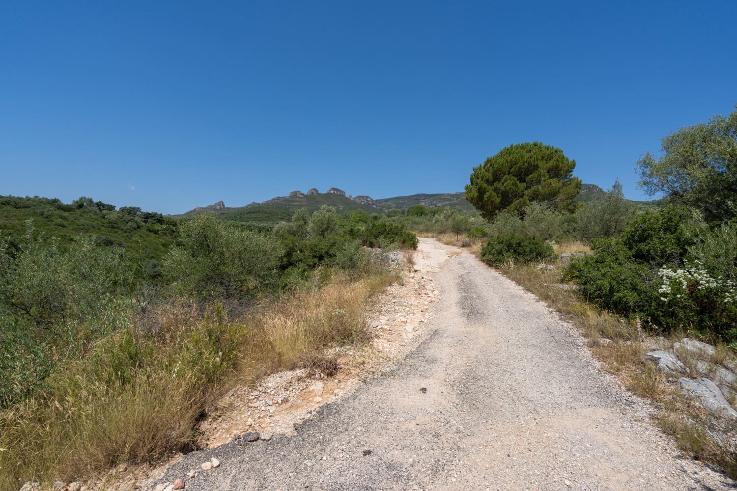 Finca/Herregård til salgs i La Senia - € 27 500 (Ref: 9096254)