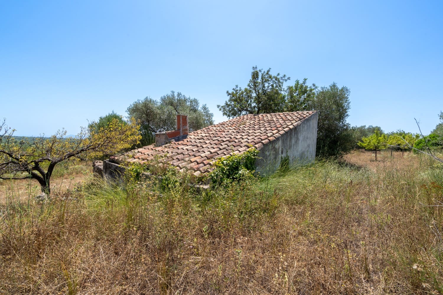 Finca/Herregård til salgs i La Senia - € 27 500 (Ref: 9096254)