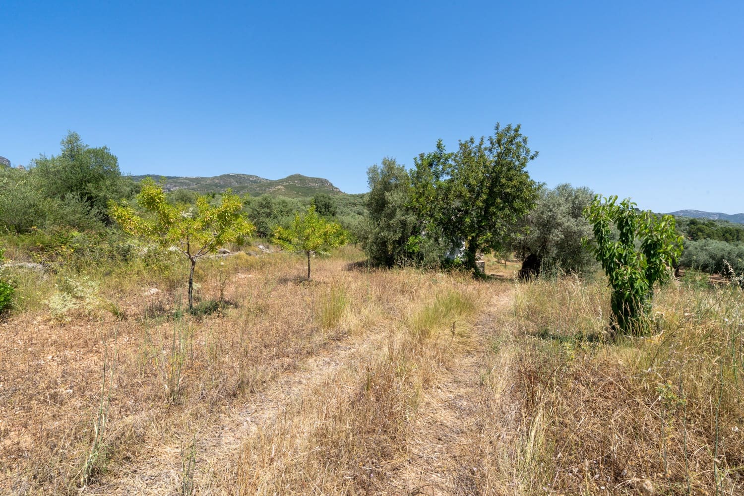 Finca/Herregård til salgs i La Senia - € 27 500 (Ref: 9096254)