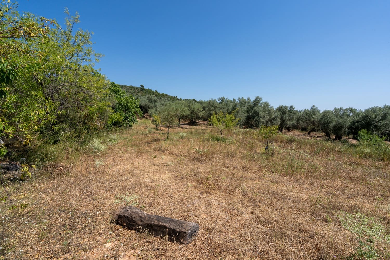 Finca/Herregård til salgs i La Senia - € 27 500 (Ref: 9096254)