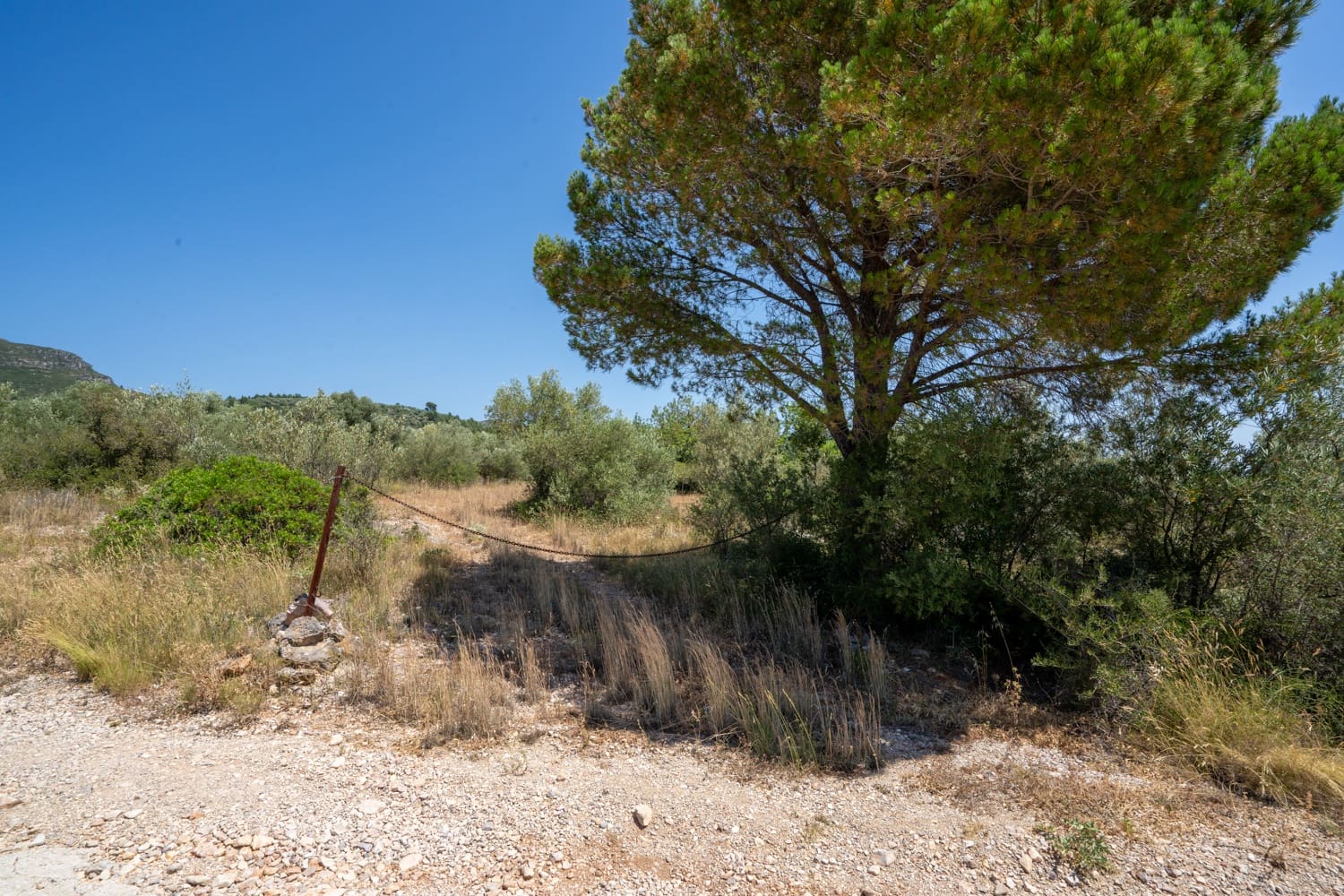 Finca/Herregård til salgs i La Senia - € 27 500 (Ref: 9096254)