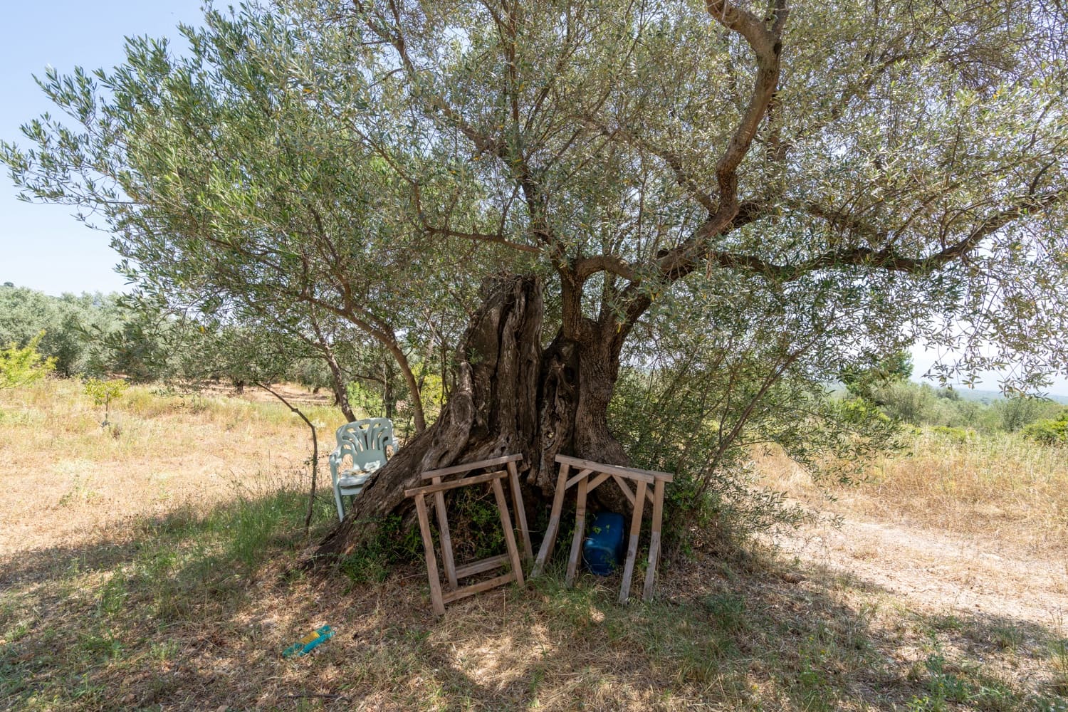 Finca/Herregård til salgs i La Senia - € 27 500 (Ref: 9096254)