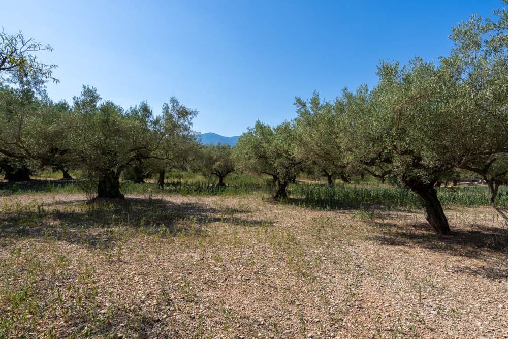 1 soveværelse Finca/Landehus til salg i Roquetes - € 75.000 (Ref: 9099949)