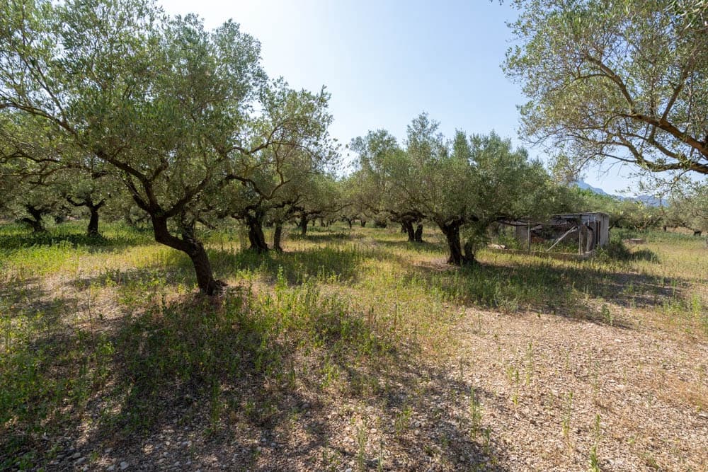 1 soveværelse Finca/Landehus til salg i Roquetes - € 75.000 (Ref: 9099949)