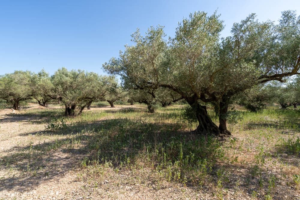 1 soveværelse Finca/Landehus til salg i Roquetes - € 75.000 (Ref: 9099949)