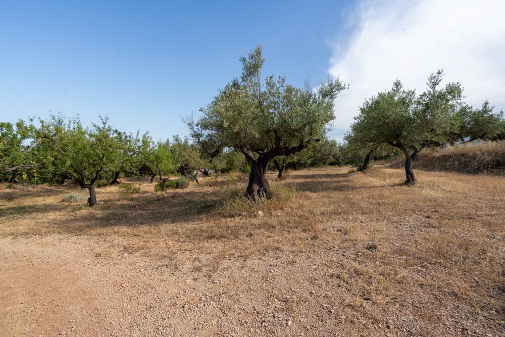 3 soveværelse Finca/Landehus til salg i Aldover - € 399.000 (Ref: 9103935)