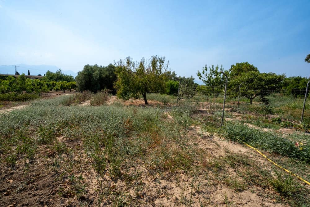 7 sypialnia Finka/Dom wiejski na sprzedaż w Tortosa - 372 000 € (Ref: 9113630)