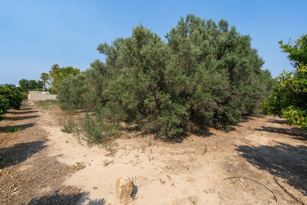 7 soveværelse Finca/Landehus til salg i Tortosa - € 270.000 (Ref: 9113630)