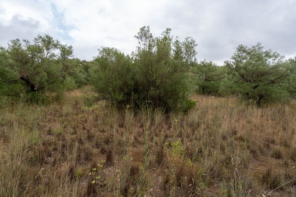 Finca/Landehus til salg i Roquetes - € 5.000 (Ref: 9116924)