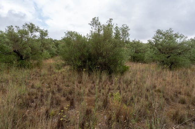 Quinta/Casa Rural para venda em Roquetes - 5 000 € (Ref: 9116924)