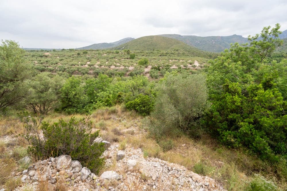 Finca/Landehus til salg i Roquetes - € 5.000 (Ref: 9116924)