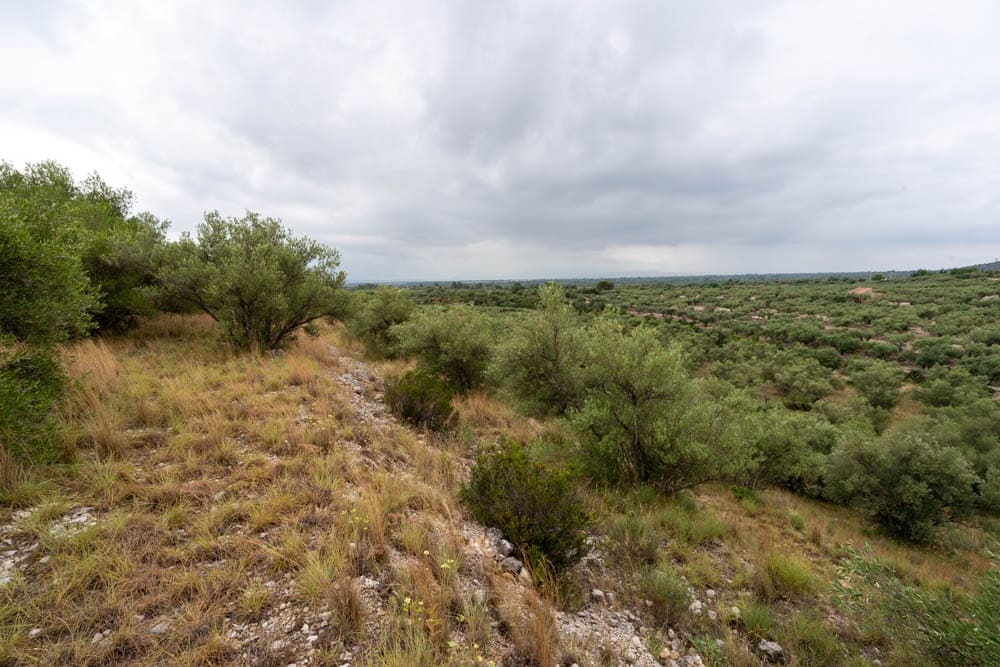 Finca/Landehus til salg i Roquetes - € 5.000 (Ref: 9116924)