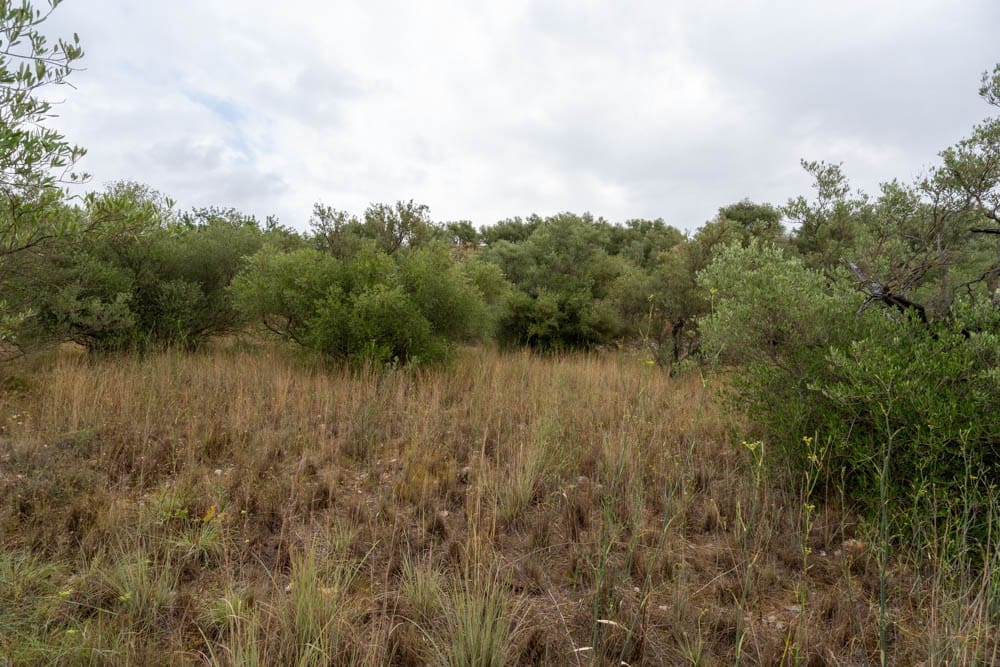 Finca/Landehus til salg i Roquetes - € 5.000 (Ref: 9116924)