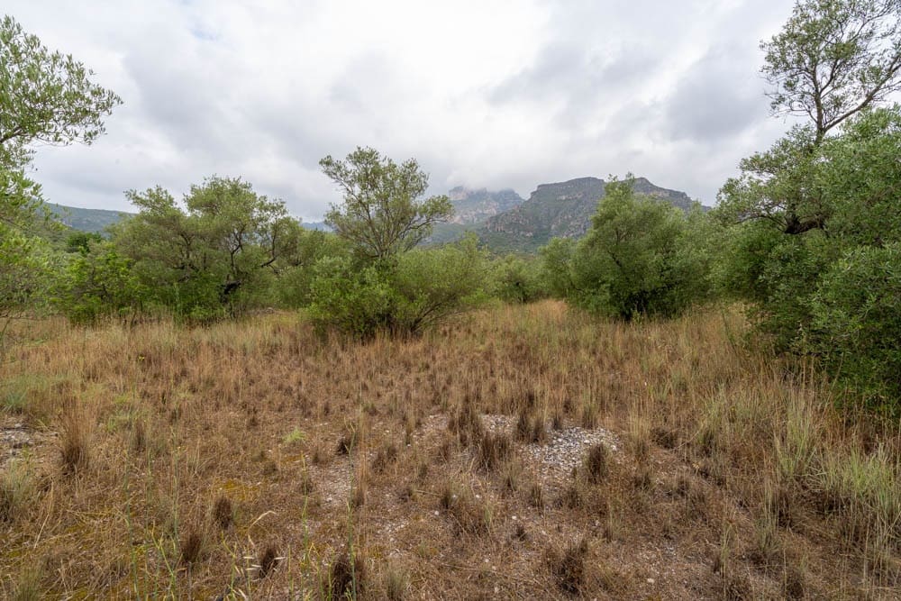 Finca/Landehus til salg i Roquetes - € 5.000 (Ref: 9116924)