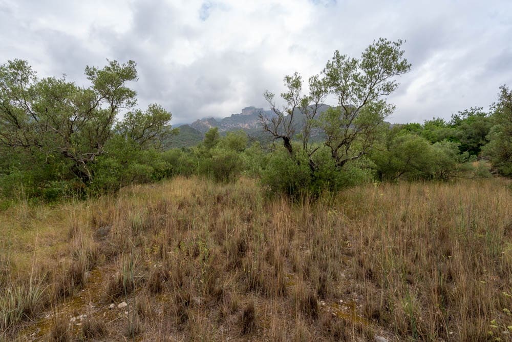 Finca/Landehus til salg i Roquetes - € 5.000 (Ref: 9116924)