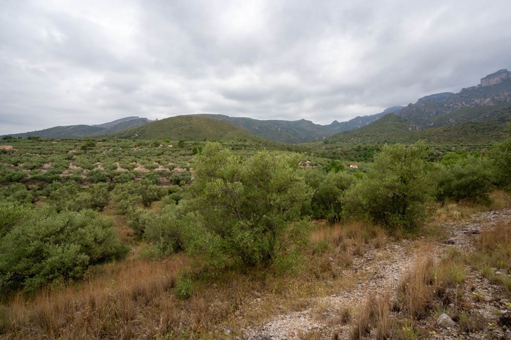 Finca/Landehus til salg i Roquetes - € 5.000 (Ref: 9116924)