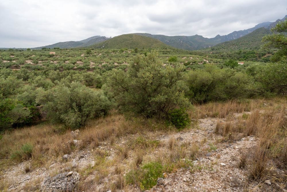 Finca/Landehus til salg i Roquetes - € 5.000 (Ref: 9116924)