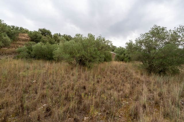 Quinta/Casa Rural para venda em Roquetes - 5 000 € (Ref: 9116924)