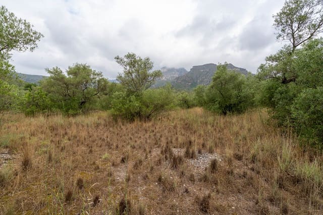 Quinta/Casa Rural para venda em Roquetes - 5 000 € (Ref: 9116924)