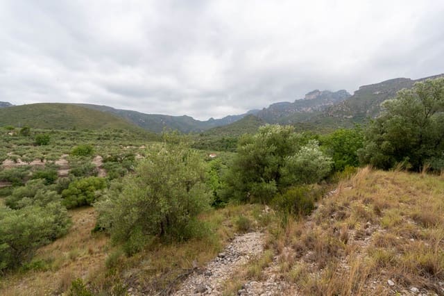 Quinta/Casa Rural para venda em Roquetes - 5 000 € (Ref: 9116924)