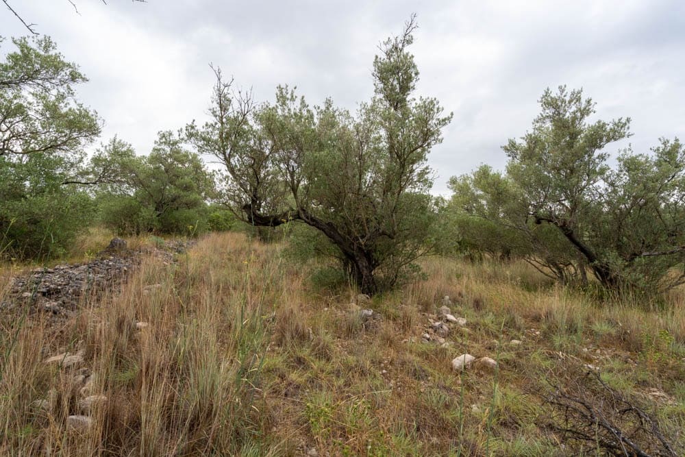 Finca/Landehus til salg i Roquetes - € 5.000 (Ref: 9116924)