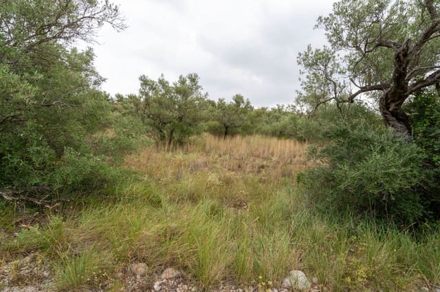 Quinta/Casa Rural para venda em Roquetes - 5 000 € (Ref: 9116924)