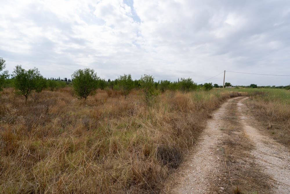 Quinta/Casa Rural para venda em Roquetes - 110 000 € (Ref: 9116925)
