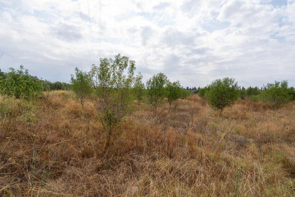 Quinta/Casa Rural para venda em Roquetes - 110 000 € (Ref: 9116925)