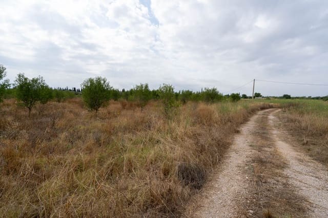 Quinta/Casa Rural para venda em Roquetes - 110 000 € (Ref: 9116925)