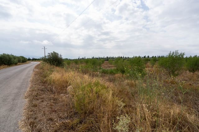 Quinta/Casa Rural para venda em Roquetes - 110 000 € (Ref: 9116925)