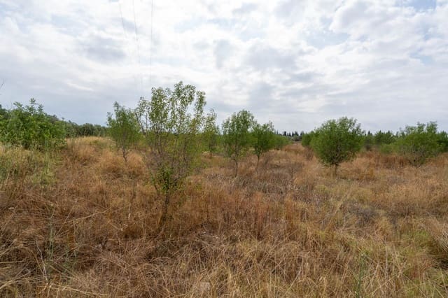 Quinta/Casa Rural para venda em Roquetes - 110 000 € (Ref: 9116925)