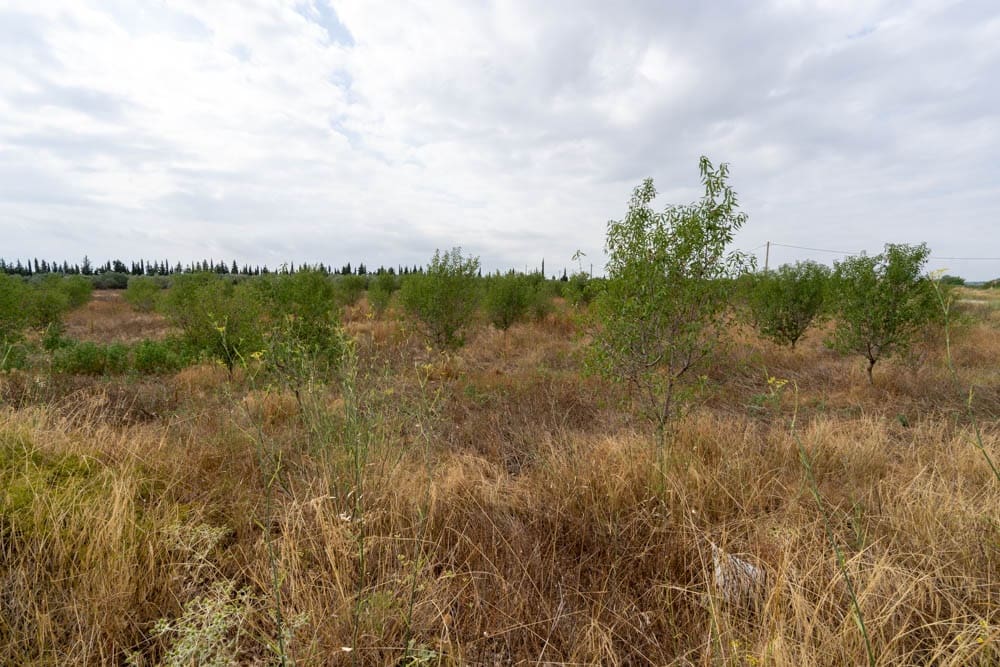 Quinta/Casa Rural para venda em Roquetes - 110 000 € (Ref: 9116925)