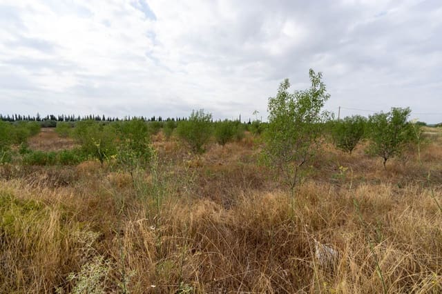 Quinta/Casa Rural para venda em Roquetes - 110 000 € (Ref: 9116925)