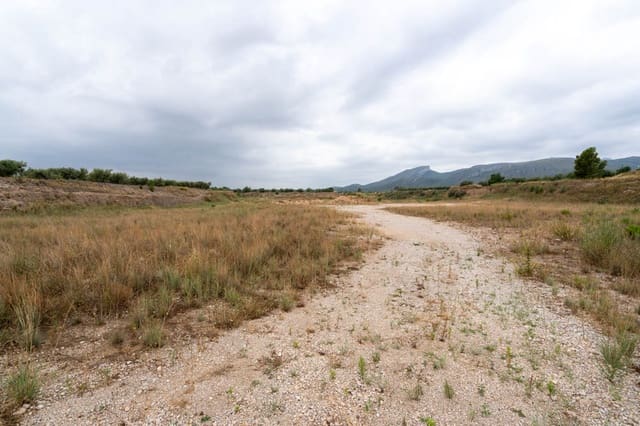 Quinta/Casa Rural para venda em Roquetes - 29 000 € (Ref: 9116926)