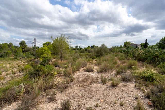 Finca/Casa Rural en Tortosa en venta - 30.000 € (Ref: 9138638)