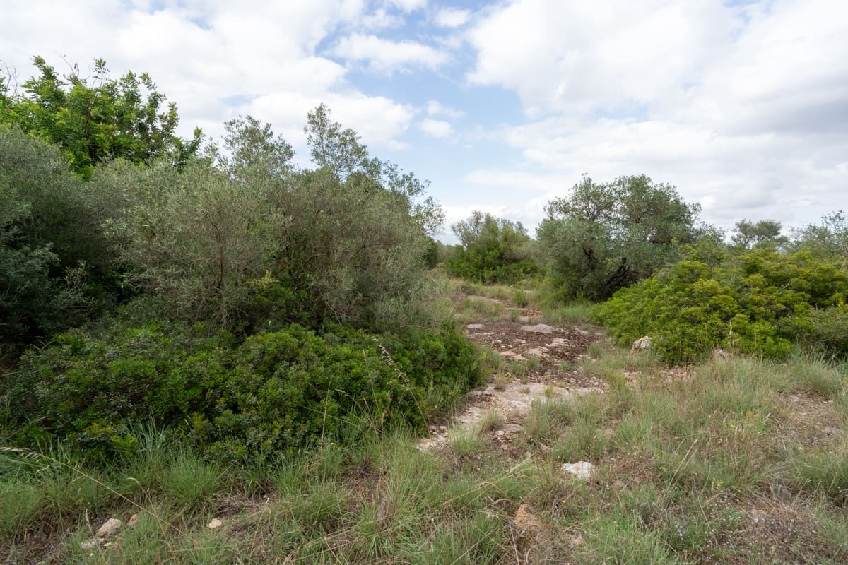 Finca/Landehus til salg i Roquetes - € 30.000 (Ref: 9138639)