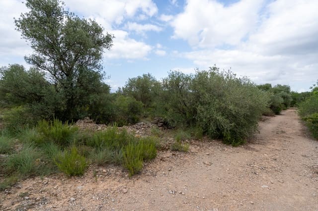 Finca/Landehus til salg i Roquetes - € 30.000 (Ref: 9138639)