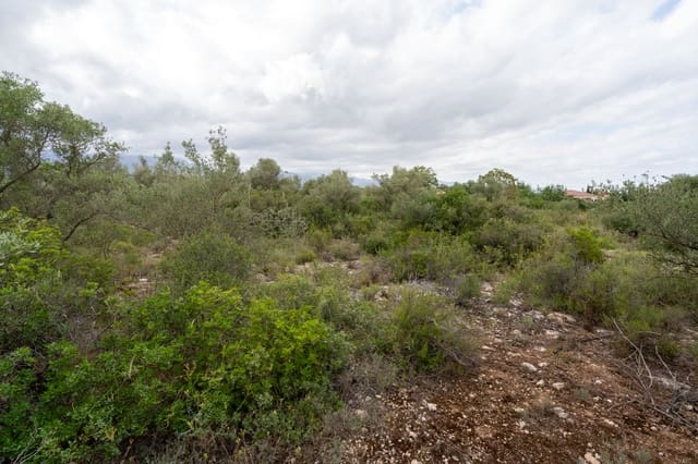 Finca/Landehus til salg i Roquetes - € 30.000 (Ref: 9138639)