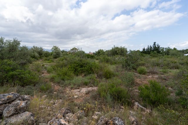 Finca/Landehus til salg i Roquetes - € 30.000 (Ref: 9138639)