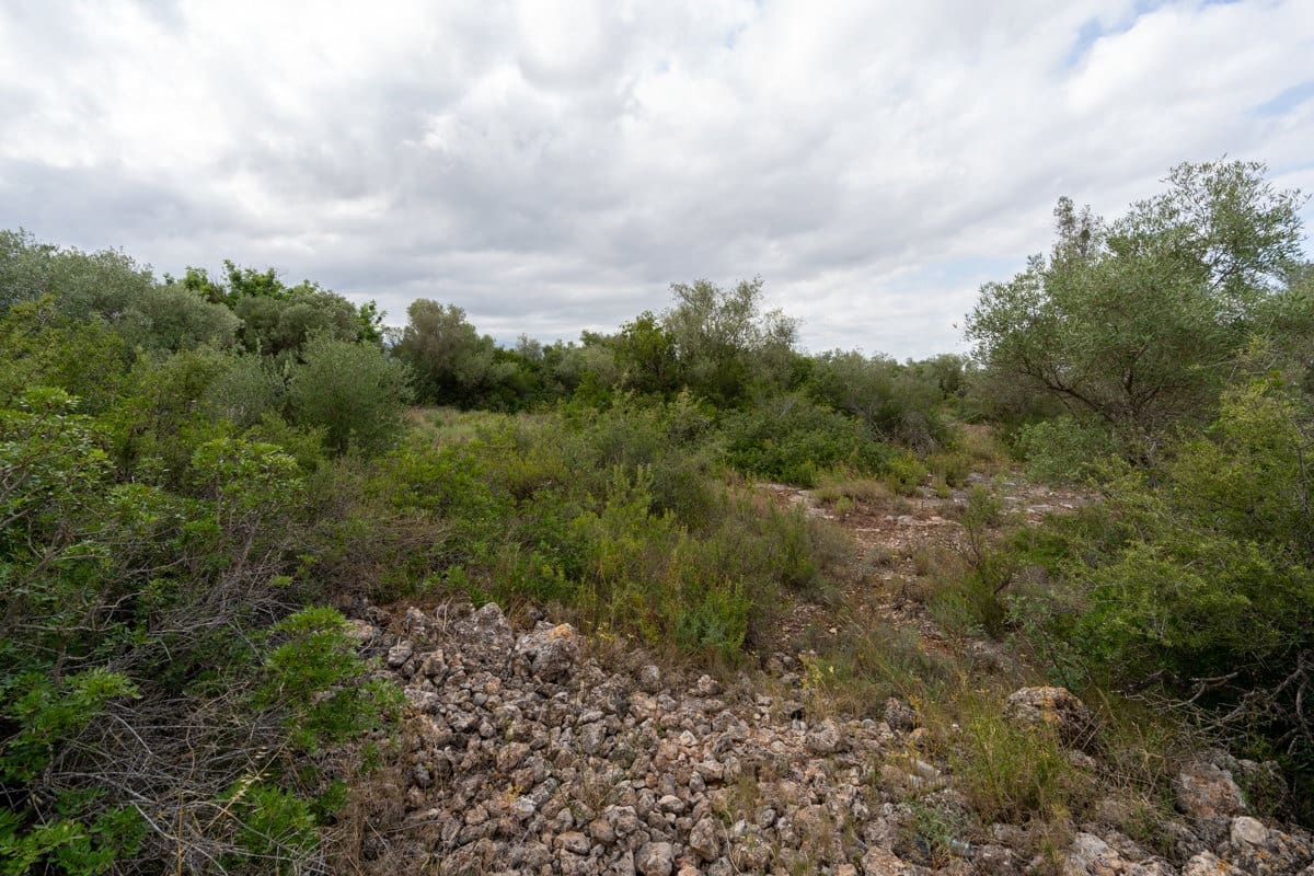 Finca/Landhuis te koop in Roquetes - € 30.000 (Ref: 9138639)