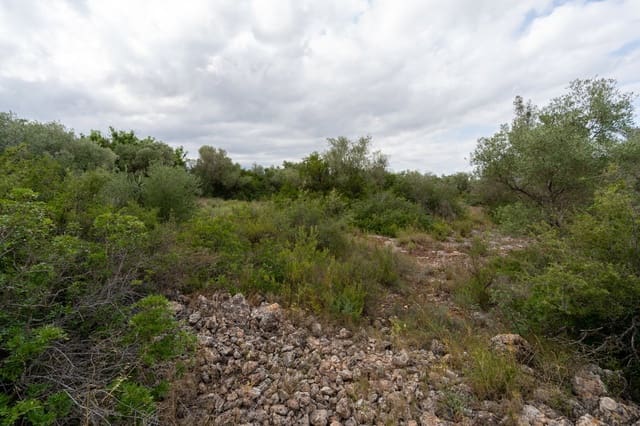 Finca/Herregård til salgs i Roquetes - € 30 000 (Ref: 9138639)