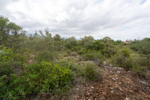 Finca/Herregård til salgs i Roquetes - € 30 000 (Ref: 9138639)