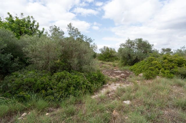 Finca/Herregård til salgs i Roquetes - € 30 000 (Ref: 9138639)