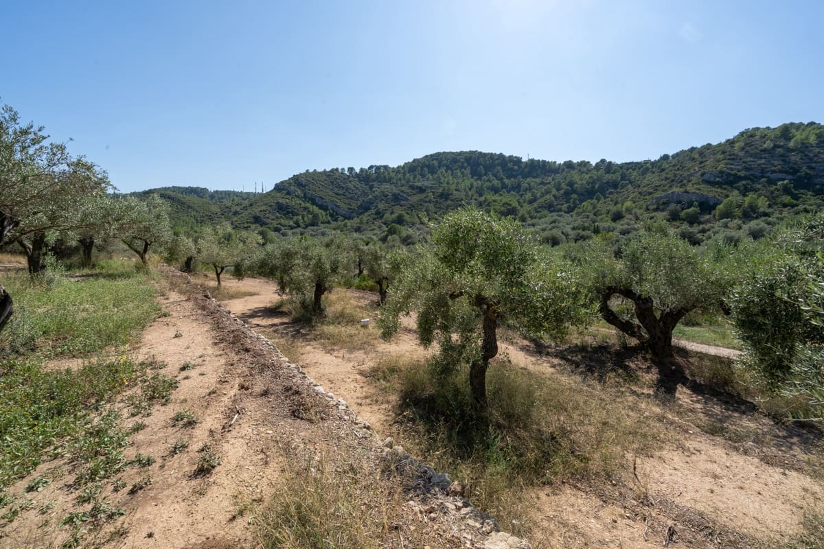 3 sypialnia Finka/Dom wiejski na sprzedaż w Tortosa z garażem - 150 000 € (Ref: 9151635)