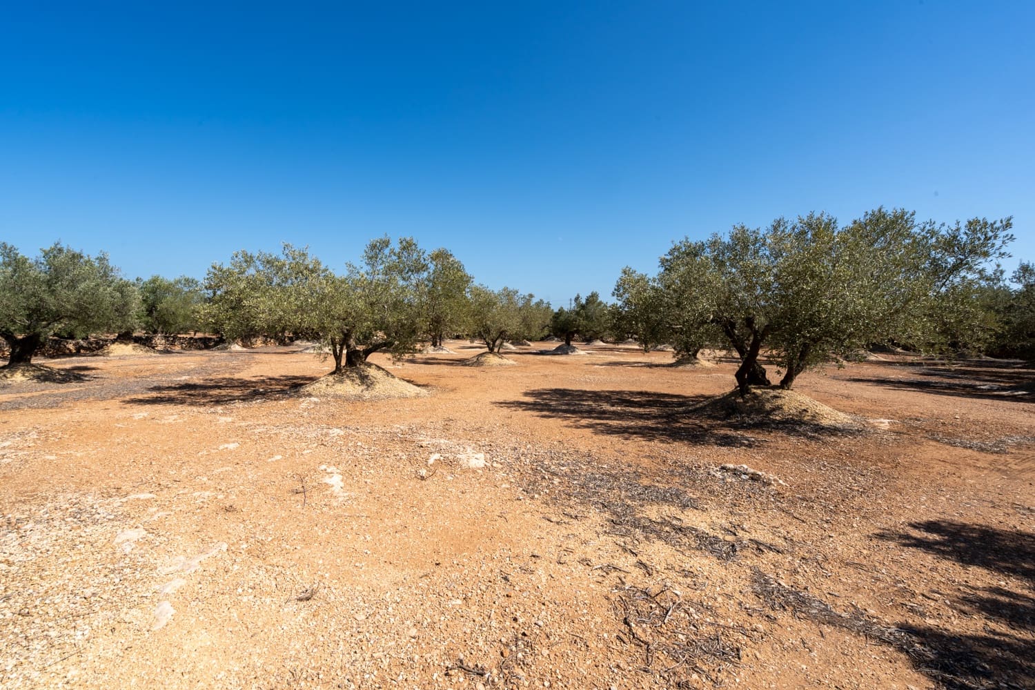 2 soveværelse Finca/Landehus til salg i L'Aldea - € 160.000 (Ref: 9154608)