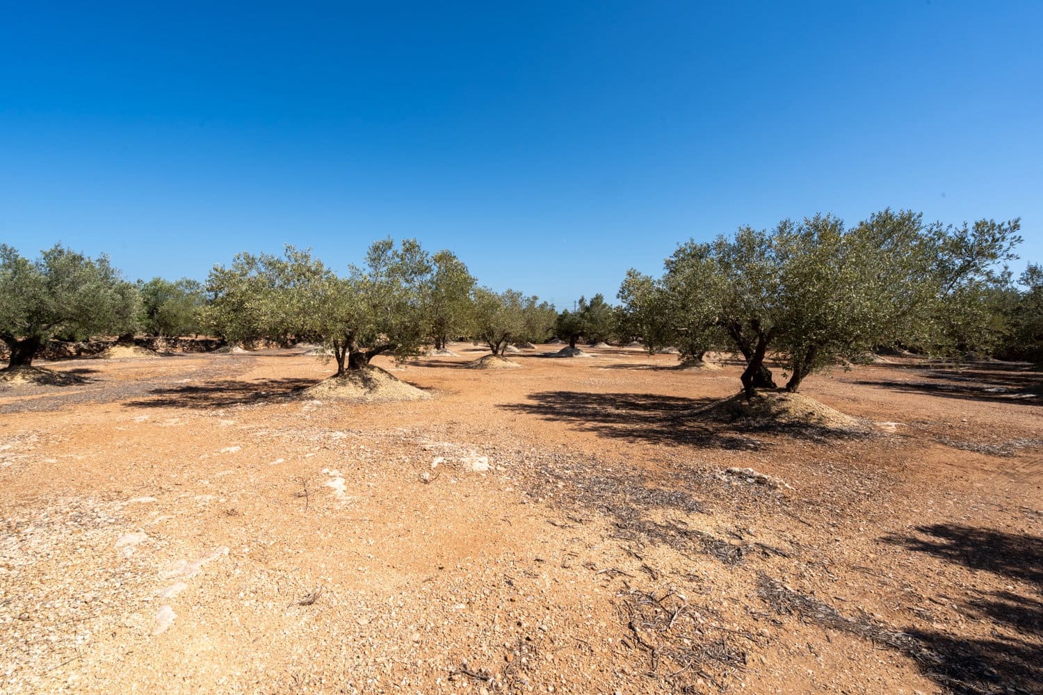 2 soveværelse Finca/Landehus til salg i L'Aldea - € 145.000 (Ref: 9154608)