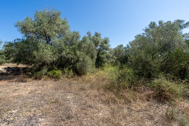 Finca/Herregård til salgs i Mas de Barberans - € 12 000 (Ref: 9156174)