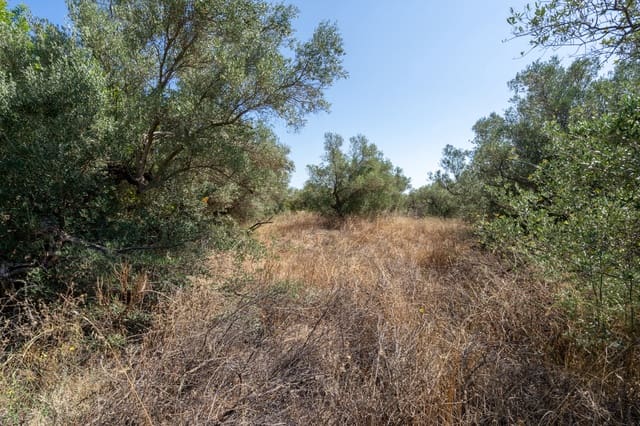 Finca/Herregård til salgs i Mas de Barberans - € 12 000 (Ref: 9156174)